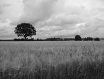 DSC00090