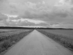 DSC00092